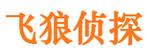 浉河婚外情调查取证